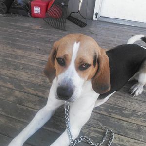 Meet your Posher, Melanie